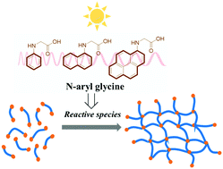 Graphical abstract: N-Aryl glycines as versatile initiators for various polymerizations
