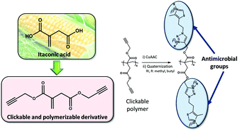 Graphical abstract: Biobased polymers derived from itaconic acid bearing clickable groups with potent antibacterial activity and negligible hemolytic activity