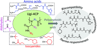 Graphical abstract: Ugi four-component polymerization of amino acid derivatives: a combinatorial tool for the design of polypeptoids