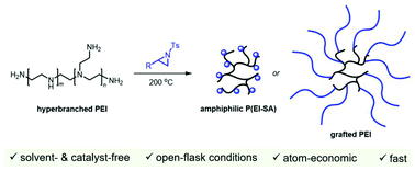 Graphical abstract: Solvent and catalyst-free modification of hyperbranched polyethyleneimines by ring-opening-addition or ring-opening-polymerization of N-sulfonyl aziridines
