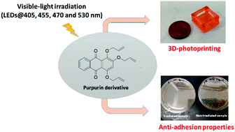 Graphical abstract: Purpurin derivatives as visible-light photosensitizers for 3D printing and valuable biological applications