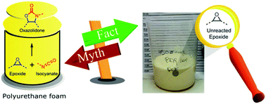 Graphical abstract: Oxazolidone formation: myth or fact? The case of biobased polyurethane foams from different epoxidized triglycerides