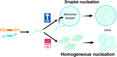 Graphical abstract: Droplet nucleation in miniemulsion thiol–ene step photopolymerization