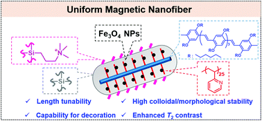 Graphical abstract: Supramolecular-micelle-directed preparation of uniform magnetic nanofibers with length tunability, colloidal stability and capacity for surface functionalization