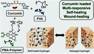 Graphical abstract: A multi-responsive self-healing hydrogel for controlled release of curcumin