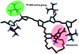 Graphical abstract: Synthesis and characterization of a pH-responsive mesalazine-polynorbornene supramolecular assembly