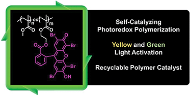 Graphical abstract: Self-catalyzing photoredox polymerization for recyclable polymer catalysts