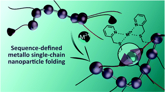 Graphical abstract: Using nickel to fold discrete synthetic macromolecules into single-chain nanoparticles
