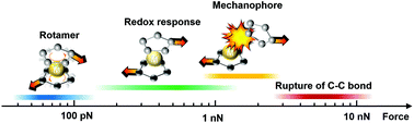 Graphical abstract: Stress-responsive properties of metallocenes in metallopolymers