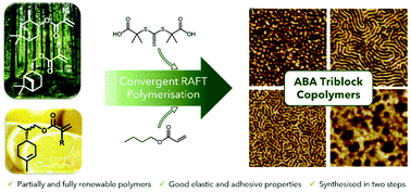 Graphical abstract: RAFT polymerisation of renewable terpene (meth)acrylates and the convergent synthesis of methacrylate–acrylate–methacrylate triblock copolymers