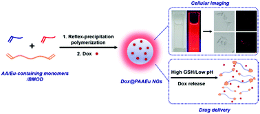 Graphical abstract: Europium(iii)-containing nanohydrogels for cellular imaging and drug delivery applications