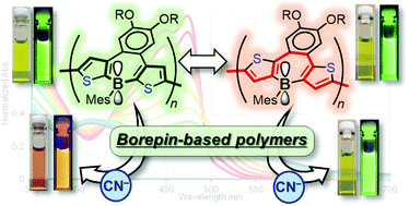 Graphical abstract: Effect of the conjugation pathway on the electronic structures of p–π* conjugated polymers with fused borepin units
