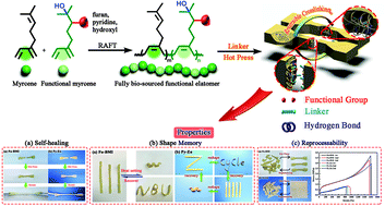 Graphical abstract: Reversible addition–fragmentation chain transfer polymerization of myrcene derivatives: an efficient access to fully bio-sourced functional elastomers with recyclable, shape memory and self-healing properties