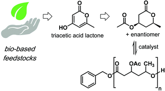 Graphical abstract: Ring opening polymerization of β-acetoxy-δ-methylvalerolactone, a triacetic acid lactone derivative