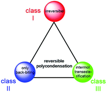 Graphical abstract: Reversible polycondensations outside the Jacobson–Stockmayer theory and a new concept of reversible polycondensations