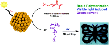 Graphical abstract: Thiol ligand capped quantum dot as an efficient and oxygen tolerance photoinitiator for aqueous phase radical polymerization and 3D printing under visible light