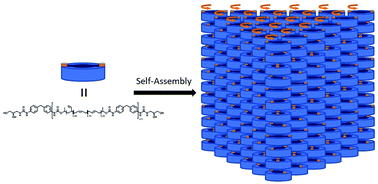 Graphical abstract: The effect of chiral end groups on the assembly of supramolecular polyurethanes