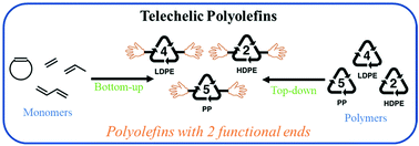 Graphical abstract: Synthesis of telechelic polyolefins