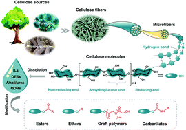 Graphical abstract: Progress on chemical modification of cellulose in “green” solvents