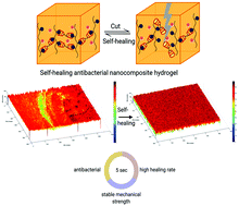 Graphical abstract: Fabrication of an antibacterial hydrogel nanocomposite with self-healing properties using ZnO/β-cyclodextrin dimer/modified alginate