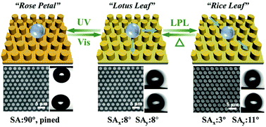 Graphical abstract: Photo-switchable smart superhydrophobic surface with controllable superwettability