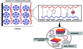 Graphical abstract: Supramolecular dendrimer-containing layer-by-layer nanoassemblies for bioapplications: current status and future prospects