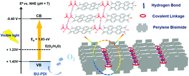 Graphical abstract: Interlayer hydrogen bond-assisted poly(perylene diimide) photocatalysts to improve the oxygen evolution under visible light