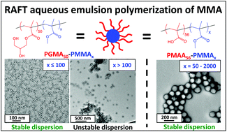 Graphical abstract: RAFT aqueous emulsion polymerization of methyl methacrylate: observation of unexpected constraints when employing a non-ionic steric stabilizer block