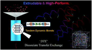 Graphical abstract: Dissociate transfer exchange of tandem dynamic bonds endows covalent adaptable networks with fast reprocessability and high performance