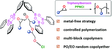 Graphical abstract: Synthesis of polyethers from epoxides via a binary organocatalyst system