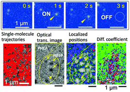 Graphical abstract: Visualization of the microstructure and the position-dependent diffusion coefficient in a blended polymer solid using photo-activation localization microscopy combined with single-molecule tracking based on one-color fluorescence-switching of diarylethene