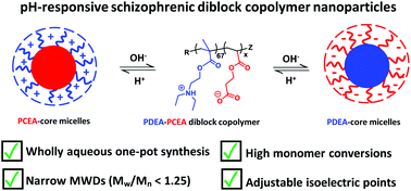 Graphical abstract: One-pot synthesis and aqueous solution properties of pH-responsive schizophrenic diblock copolymer nanoparticles prepared via RAFT aqueous dispersion polymerization