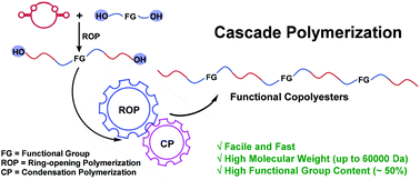 Graphical abstract: A cascade strategy towards the direct synthesis of green polyesters with versatile functional groups