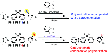 Graphical abstract: Precision synthesis of a fluorene-thiophene alternating copolymer by means of the Suzuki–Miyaura catalyst-transfer condensation polymerization: the importance of the position of an alkyl substituent on thiophene of the biaryl monomer to suppress disproportionation