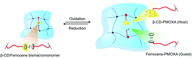 Graphical abstract: Redox-sensitive ferrocene functionalised double cross-linked supramolecular hydrogels