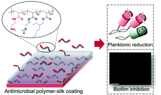 Graphical abstract: Releasable antimicrobial polymer-silk coatings for combating multidrug-resistant bacteria
