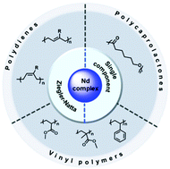 Graphical abstract: Neodymium catalysts for polymerization of dienes, vinyl monomers, and ε-caprolactone