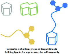 Graphical abstract: Supramolecular systems prepared using terpyridine-containing pillararene