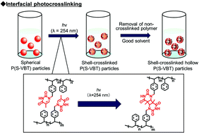 Graphical abstract: Interfacial photocrosslinking of polymer particles possessing nucleobase photoreactive groups for hollow/capsule polymer fabrication