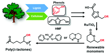 Graphical abstract: Pathway to fully-renewable biobased polyesters derived from HMF and phenols