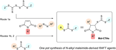 Graphical abstract: Direct routes to functional RAFT agents from substituted N-alkyl maleimides