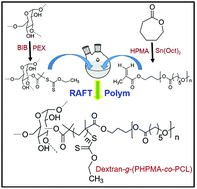 Graphical abstract: Synthesis of an amphiphilic copolymer using biopolymer-dextran via a combination of ROP and RAFT techniques