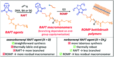 Graphical abstract: Effect of radical copolymerization of the (oxa)norbornene end-group of RAFT-prepared macromonomers on bottlebrush copolymer synthesis via ROMP