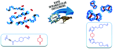 Graphical abstract: Rapid synthesis of polyester based single-chain polymeric nanoparticles via an intra-molecular aza-Michael addition reaction