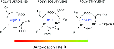 Graphical abstract: New mechanism for autoxidation of polyolefins: kinetic Monte Carlo modelling of the role of short-chain branches, molecular oxygen and unsaturated moieties