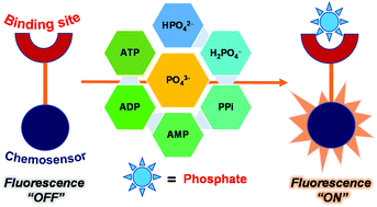 Graphical abstract: Turn-on detection of assorted phosphates by luminescent chemosensors