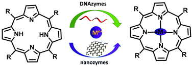 Graphical abstract: Porphyrin metalation catalyzed by DNAzymes and nanozymes