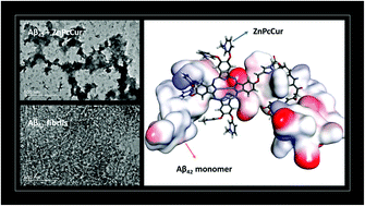 Graphical abstract: Design, synthesis and comparison of water-soluble phthalocyanine/porphyrin analogues and their inhibition effects on Aβ42 fibrillization
