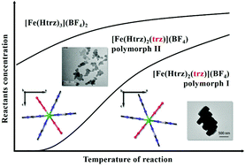 Graphical abstract: Rational direct synthesis of [Fe(Htrz)2(trz)](BF4) polymorphs: temperature and concentration effects