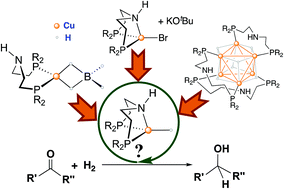 Graphical abstract: Hydrogenation reactions catalyzed by HN(CH2CH2PR2)2-ligated copper complexes